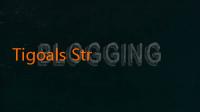 Tigoals Streaming Gratis: Menonton Pertandingan Sepak Bola Tanpa Batasan 